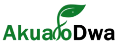 Akuafo Dwa